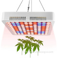 /msite/products/detail/productid/57984211/id/679434.html